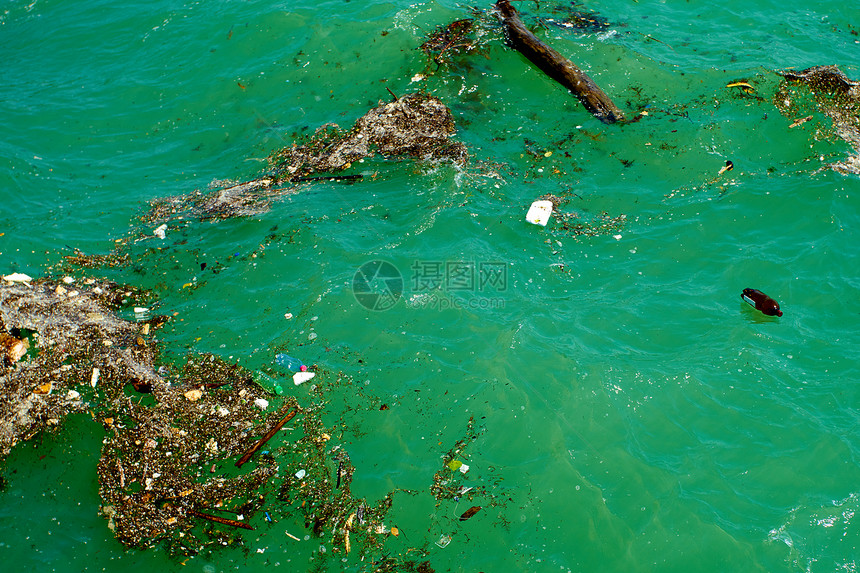 海洋塑料污染图片