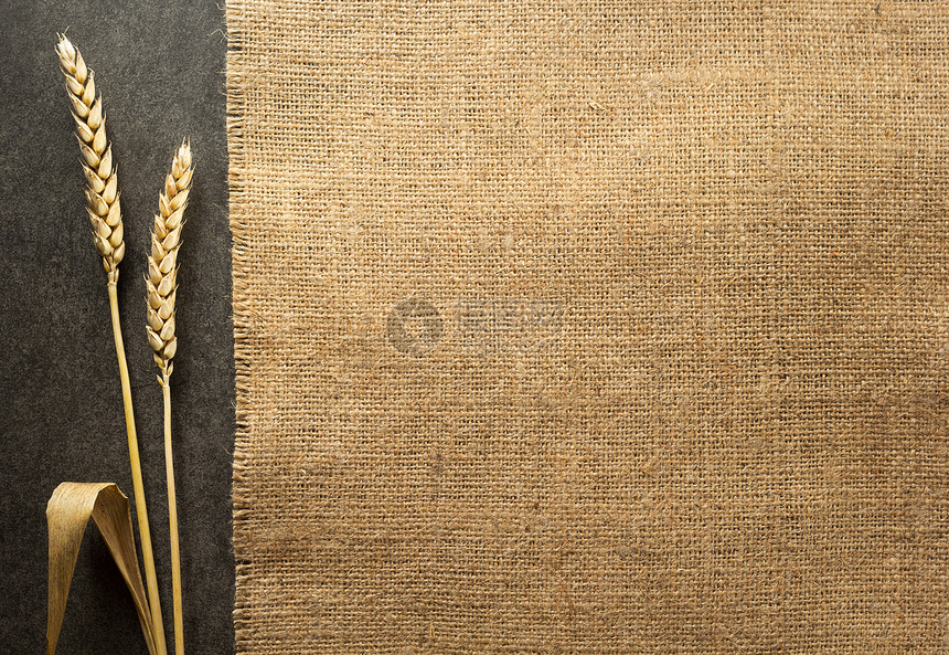 黑色背景纹理上的小麦耳朵图片