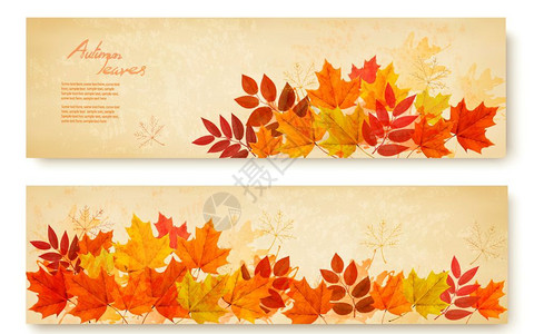 秋叶多彩由两组自然横幅成上面有多彩的秋叶矢量插画
