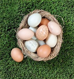 以不同自然颜色在草上筑鸡蛋中的有机生图片