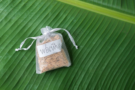 带字母的稻田大米有泰字标记的稻田足以满泰王的哲学图片