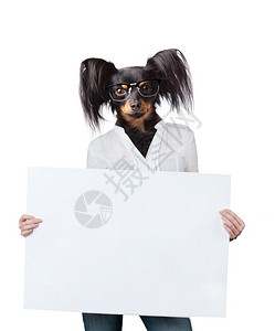 挂着空白广告牌的狗图片