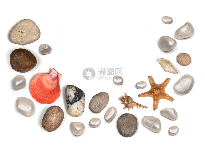白色的石和贝壳图片