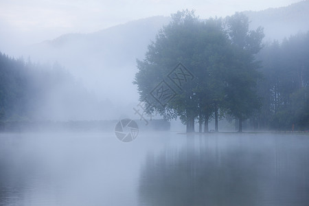 清晨雾的天气下图片