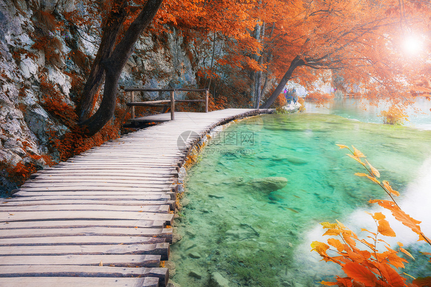 穿过美丽的阳光明媚秋湖木道图片