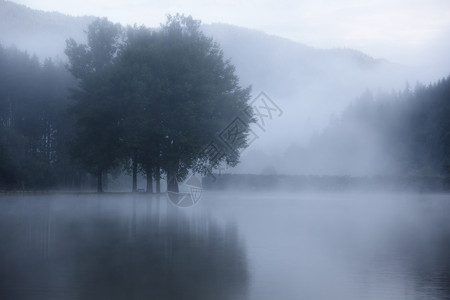 清晨雾的天气下图片