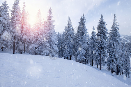 冬季山雪林背景图片