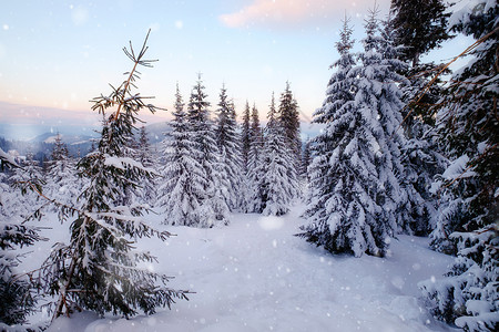 冬季山雪林背景图片