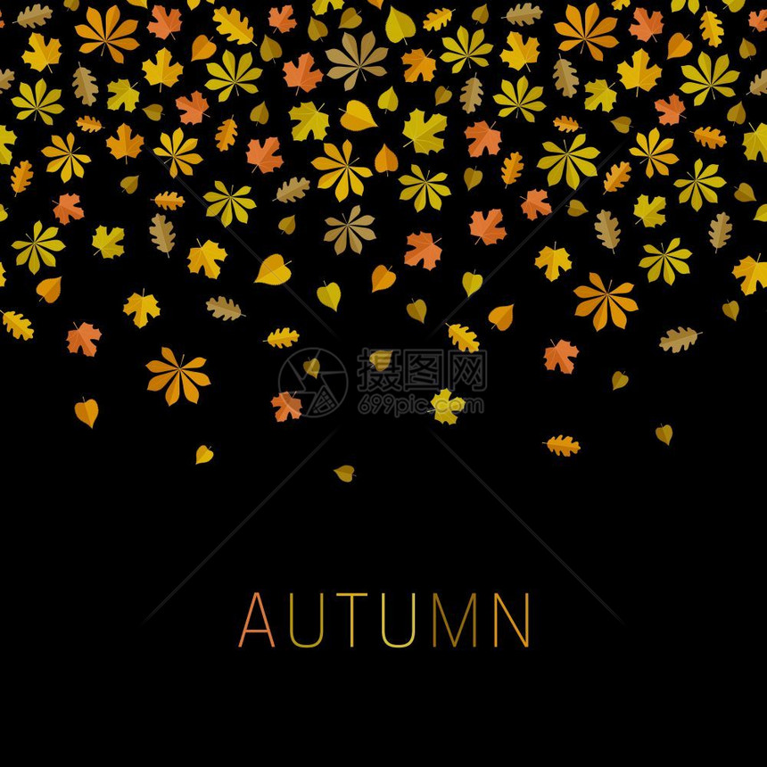 秋叶背景黑色黄秋图片