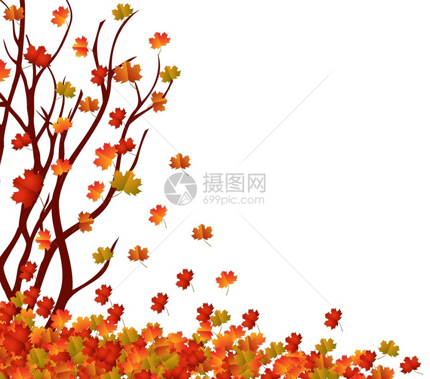 秋树和叶背景图片