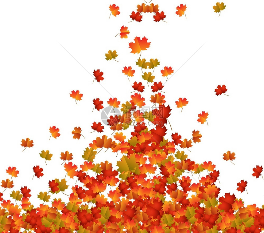 秋叶落背景图片