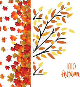 多彩秋天树叶秋天背景有丰富多彩的叶子感恩节设计插画