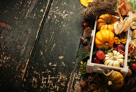 季节水果蔬菜和叶的秋季背景图片