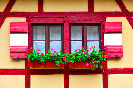 德国纽伦堡带有鲜花的旧房子窗图片