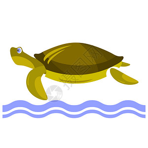 矢量海龟卡通海龟图标孤立于白色背景背景