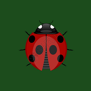 绿色背景上孤立的夏季Ladybug图标Summer图标图片