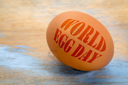 世界鸡蛋日上用粗木漆成的头制标语文字图片