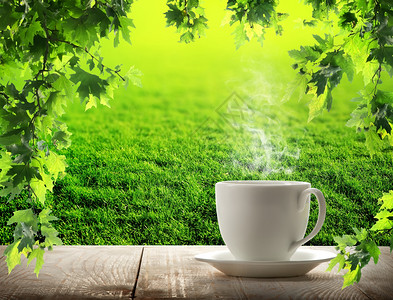 白杯咖啡和阳光树背景图片