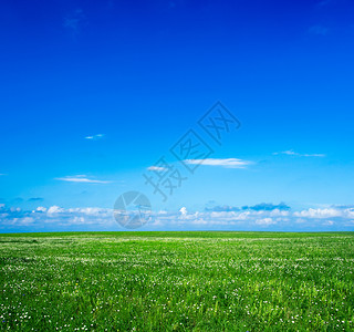 草地和完美的天空图片