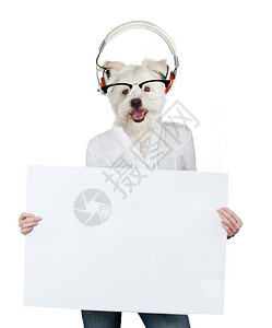 挂着空白广告牌的狗图片