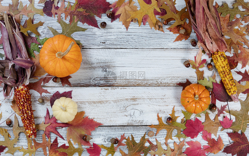 以生锈的白木板为圆边界的季节秋装饰图片