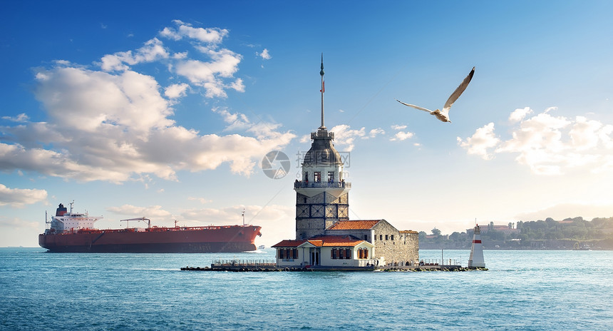 海鸥在土耳其伊斯坦布尔的MaidensTower附近飞行图片