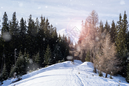 美丽的冬季高山雪风景图片