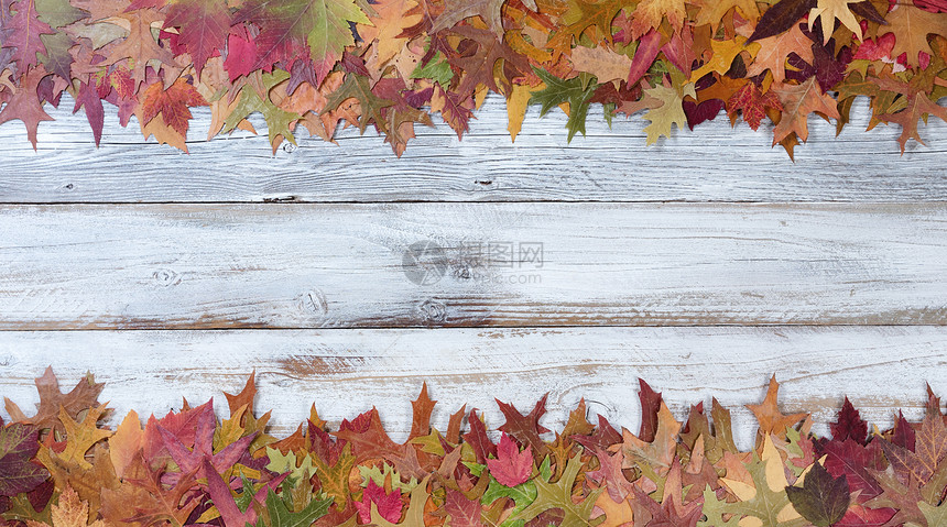 上下边界的生锈白木板秋叶装饰图片