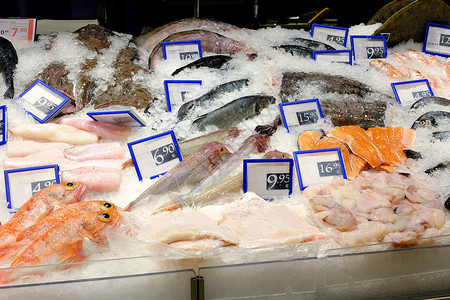 鱼市场背景图片