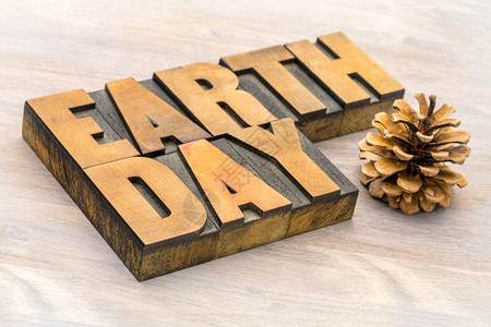 4月22地球日地球日4月2日庆祝的年度活动以展示对环境保护的支持用松锥制成的纸质木文字摘要背景