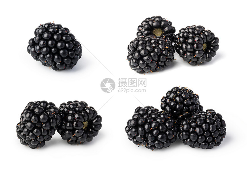 黑莓白色背景隔离的黑莓图片