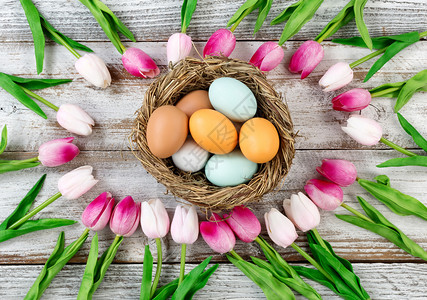 郁金香圆边框在复活节背景的生锈白木板上筑巢里面有色彩繁多的真蛋图片