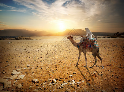 通过沙漠骑骆驼的贝都因人背景图片