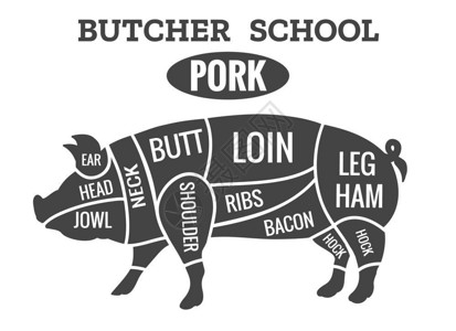 砍旧猪肉屠宰图切割烤牛肉屠宰学校矢量图插画