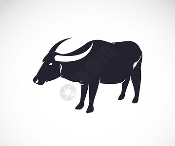 水牛在白色背景上的矢量图像标志高清图片素材