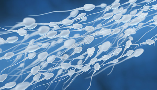 人类精子流3D切入蛋的插图图片素材