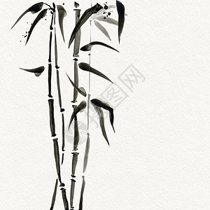 手绘花草日本风格的竹子树水彩手绘图画背景