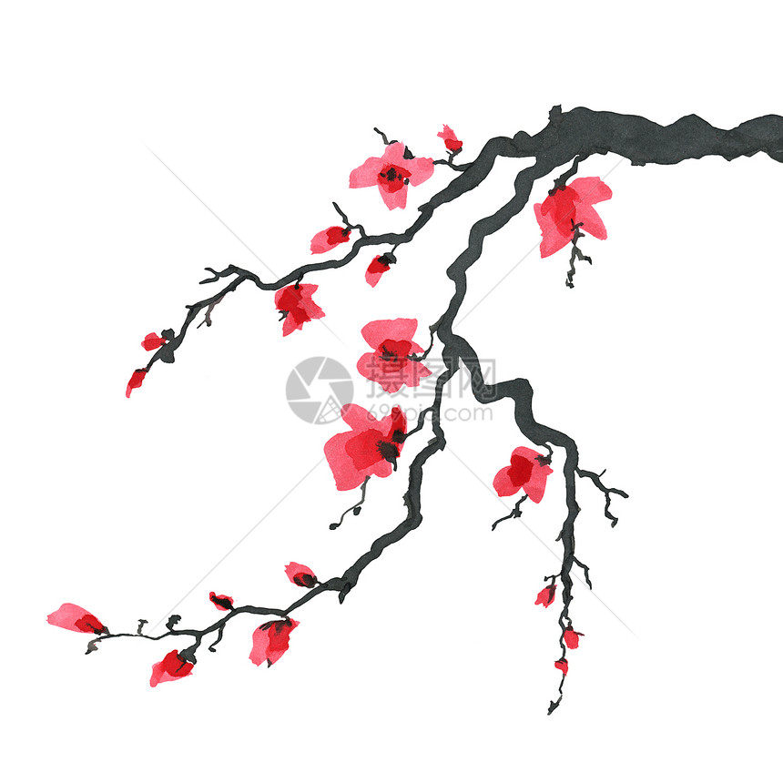 日本绘画风格的樱树传统美丽的水彩手画图日本风格的樱树水彩画图图片