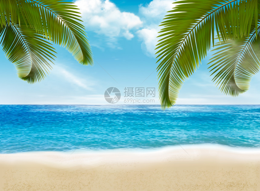 海滩上的棕榈树插图图片
