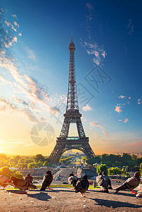 巴黎鸽子Eiffel铁塔和鸽子日出在法国巴黎背景