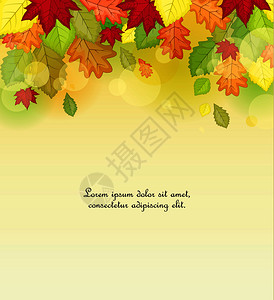 秋叶矢量背景图片