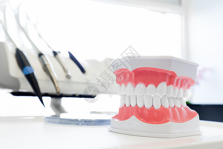 干净的牙齿假医的齿假模型医办公室的齿假模型医办公室的科假模型图片