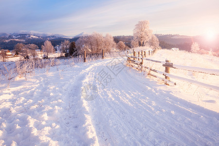 冬季风景公路和树上布满雪的木美丽的高清图片素材