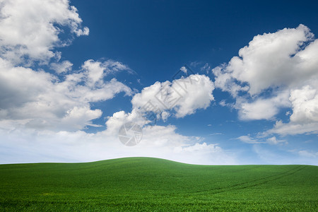 绿草面积蓝天空有白云面积图片