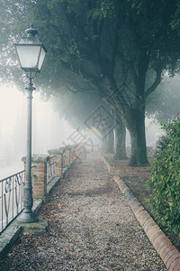公园中弥漫着雾的浪小巷晨间城市公园沉默高清图片素材