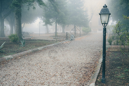 公园中弥漫着雾的浪小巷晨间城市公园浪漫的高清图片素材