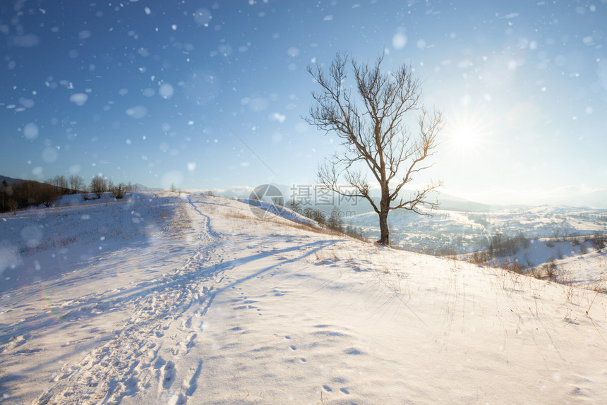 冬季山区景观阳光明媚的阿尔卑斯山丘美丽的冬季自然图片