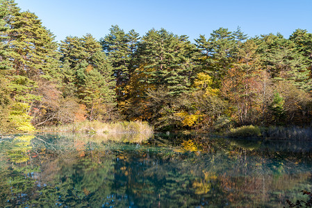 日本福岛乌拉大秋天五色池塘图片