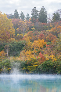 日本赤田青森岛大浩努马湖上的秋天森林图片