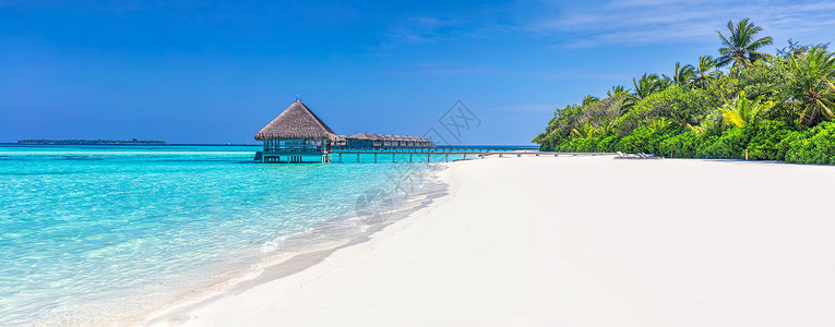 马尔代夫一个热带岛屿上宽阔沙滩的全景印度洋椰子棕榈和水泉印度洋马尔代夫一个热带岛屿上宽阔沙滩的全景背景图片